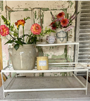 French ironwork plant stand