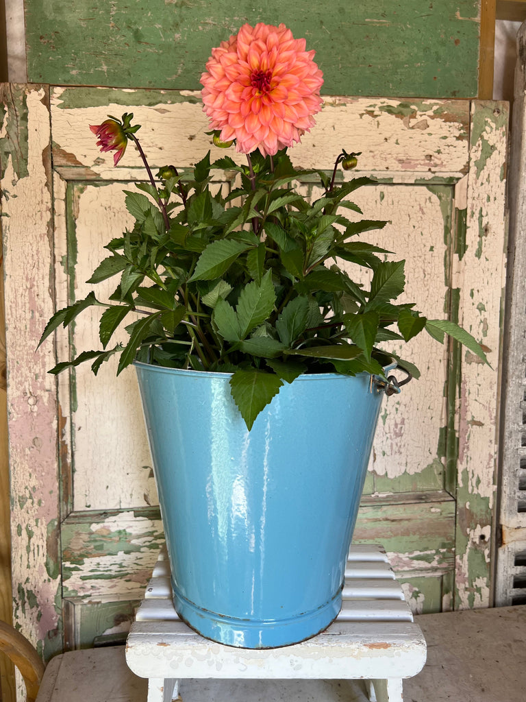 Lovely enamel bucket