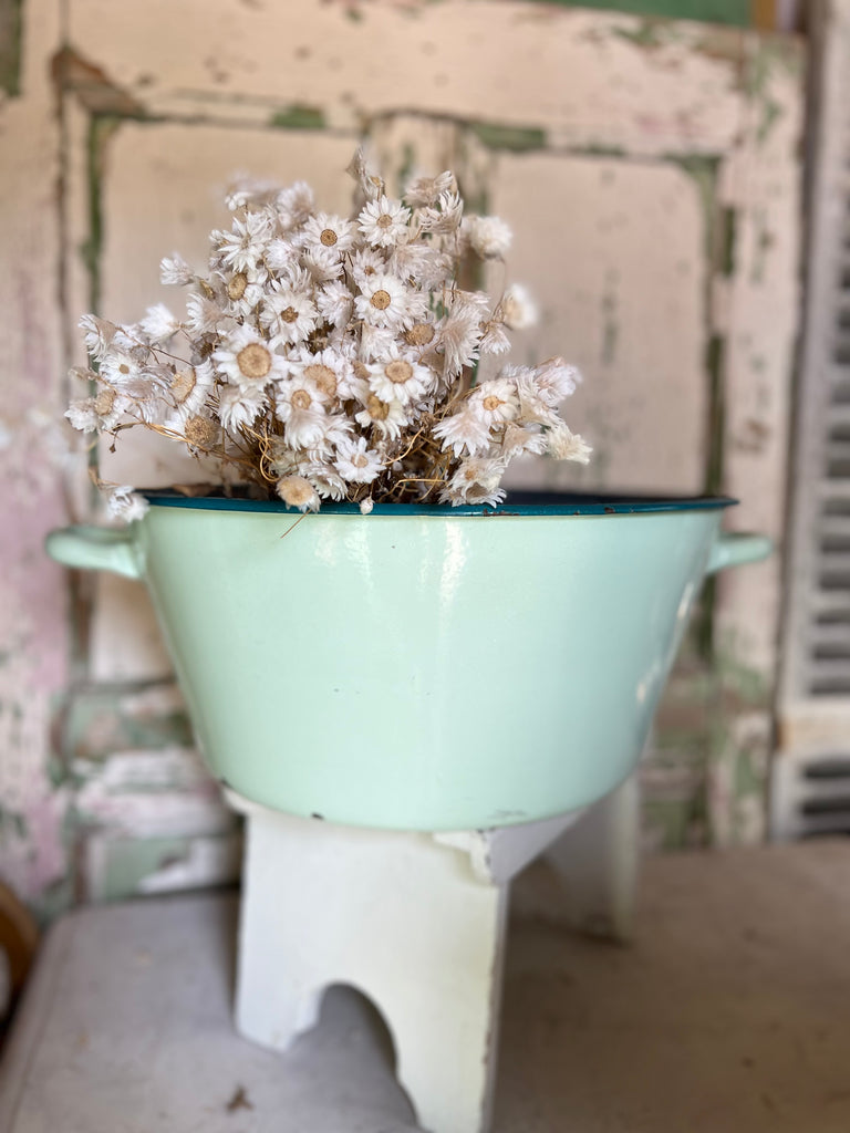 Gorgeous French enamel basin