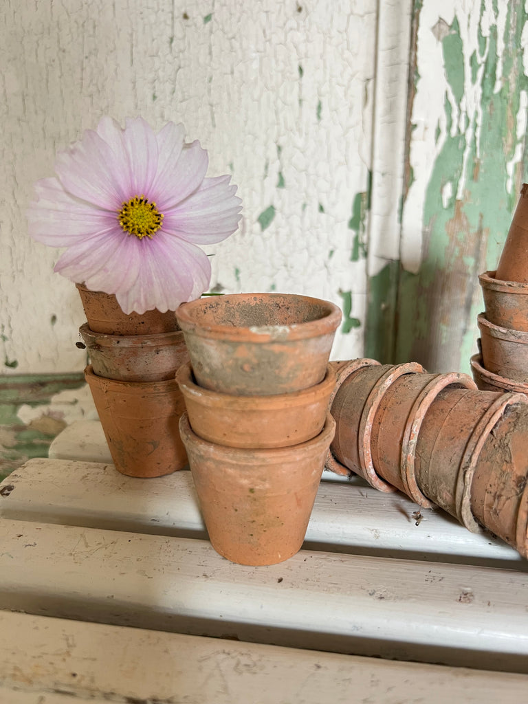 Set of 3 vintage miniature terracotta pots