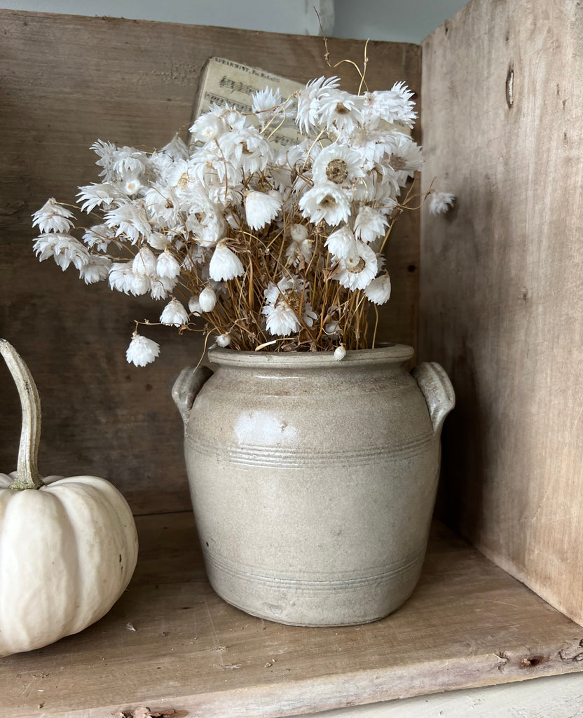 unusual small sized confit pot