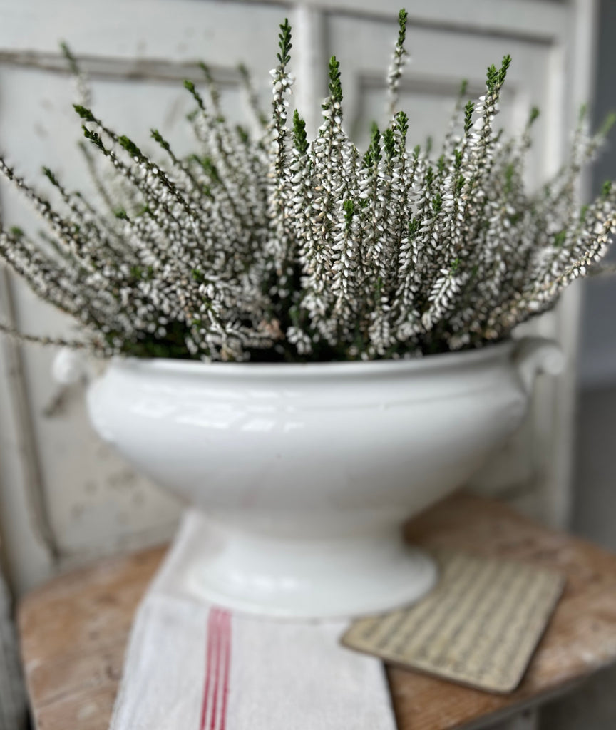 Stunning oval tureen