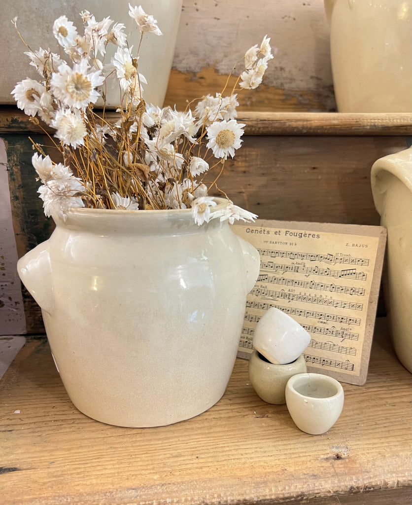 Unusual small sized confit pot